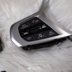 BMW Driving Assistant Professional | G-Series (ACC PRO)